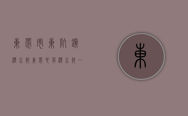 东莞市东坑镇泼水节（东莞也有“泼水节”：一边凑热闹，一边找工作）(2021年东坑镇泼水节是几月几号)