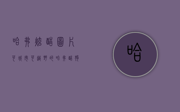 哈弗炫酷图片（可城市可越野的哈弗酷狗，你真的能忍住不买吗？）(哈弗酷熊图片)
