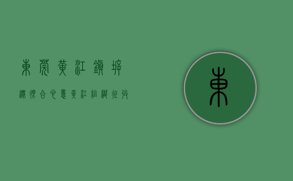 东莞黄江镇拆迁（“很合心意！”黄江组织征收户参观安置房样板间）(东莞黄江2020年规划最新消息)