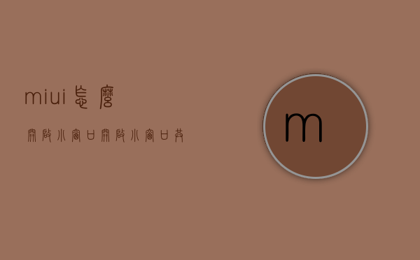 miui怎么开启小窗口（开启小“窗口” 共商大保护 自治区知识产权保护中心设立“知识产权检察保护联络点”）