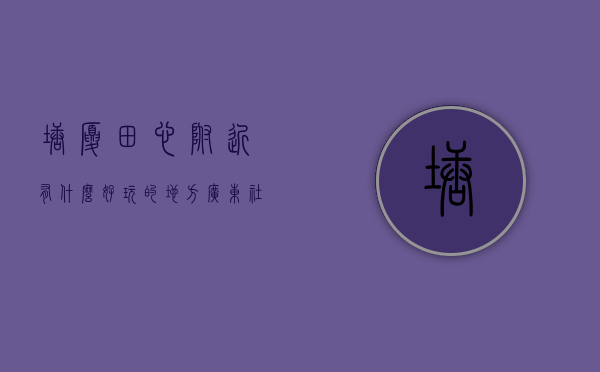塘厦田心附近有什么好玩的地方（广东社会：东莞塘厦田心文化广场旁旺铺）