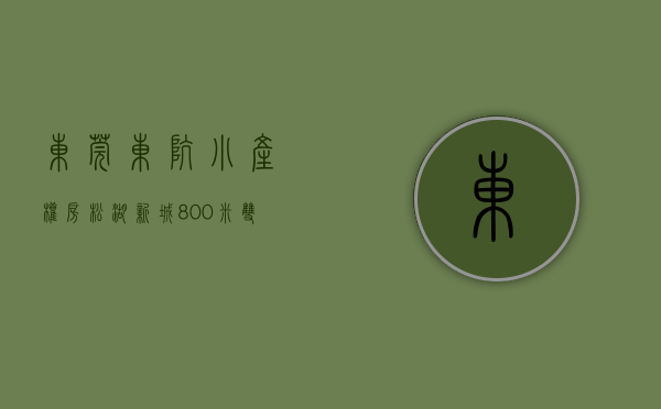 东莞东坑小产权房《松湖新城》800米双地铁口，东坑镇政府中心，周末冲刺活动价，送首付，送首付20万现金