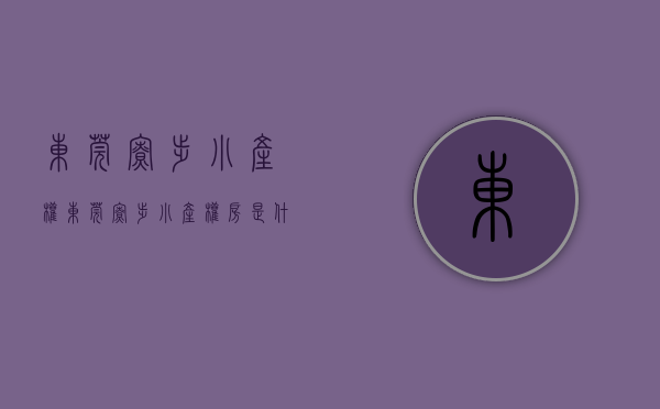 东莞寮步小产权（东莞寮步小产权房是什么意思 和大产权有什么区别）