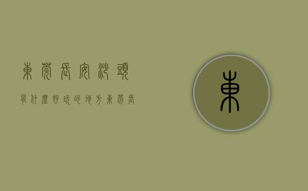 东莞长安沙头有什么好玩的地方（东莞长安小产权房《沙头雅苑》两房全款178W月租抵月供）