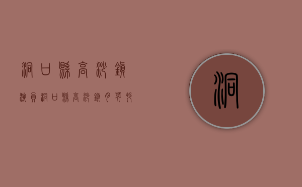 洞口县高沙镇演员（洞口县高沙镇月英村：小头盔凝聚为民情）(洞口县高沙镇高沙村村委会班子)