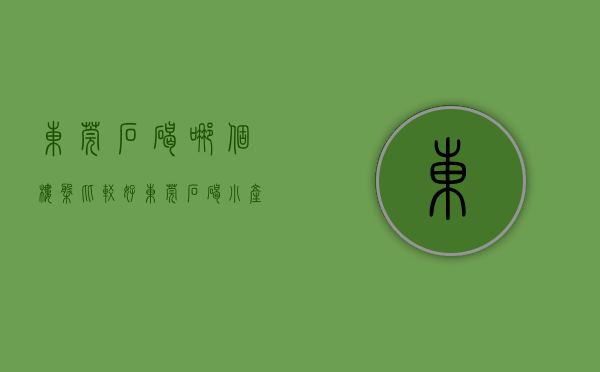 东莞石碣哪个楼盘比较好（东莞石碣小产权房《东城北花园》两梯六户采光一流 比邻万达单价3980元起）