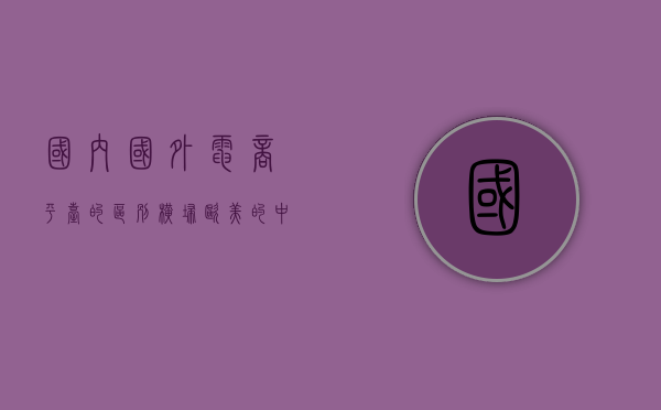 国内国外电商平台的区别（横扫欧美的中国电商黑马，悬了？）(国内国外的电商平台有哪些)