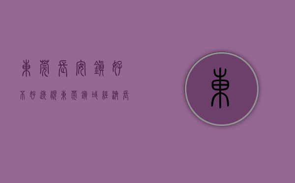 东莞长安镇好不好（透视东莞镇域经济｜长安：“东莞第一镇”千亿进阶之路）