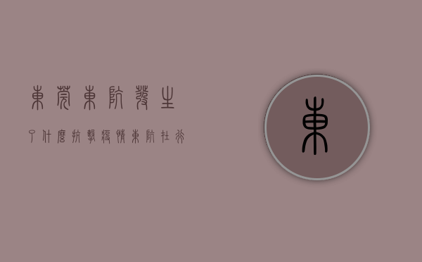东莞东坑发生了什么（抗击疫情，东坑在行动 东莞东坑镇取消二月初二“卖身节”节庆活动）