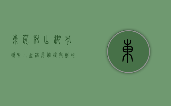东莞松山湖有哪些小产权房,值得投资的地方（东莞松山湖有哪些小产权房，值得投资？）