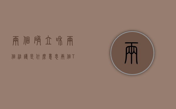 两个确立和两个维护是什么意思（两个“Tony”面对面？这个论坛上，靠谱青年“店小二”分享助企服务故事）