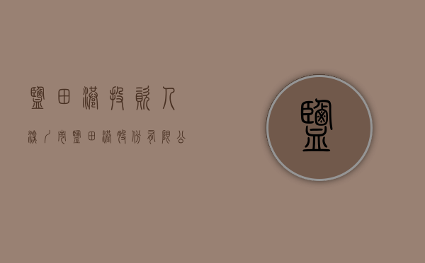 盐田港投资人（深圳市盐田港股份有限公司关于发行股份及支付现金购买资产并募集配套资金暨关联交易事项的进展公告）