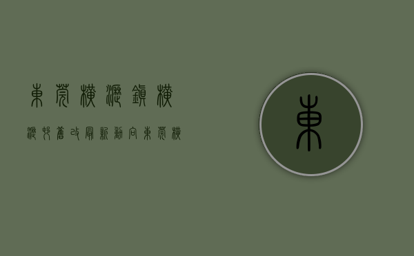 东莞横沥镇横沥村旧改最新动向（东莞横沥高标准常态化推进文明创建工作）