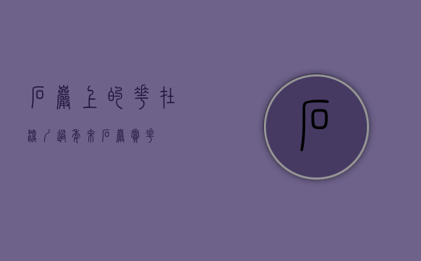 石岩上的花（在深圳过年 来石岩赏花）