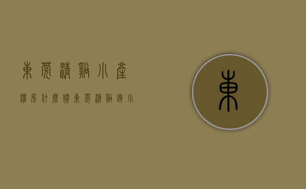 东莞清溪小产权房什么价(东莞清溪镇小区)