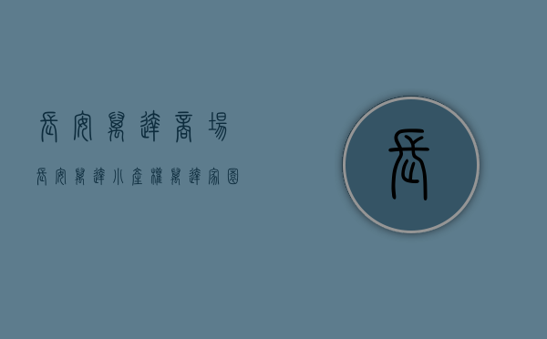 长安万达商场（长安万达小产权 万达家园 万达零距离带停车场天燃气）