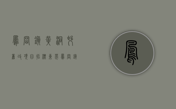 凤岗镇黄洞村旧改项目招标（东莞凤岗镇黄洞村旧改主体挂牌招商 起拍价349亿）