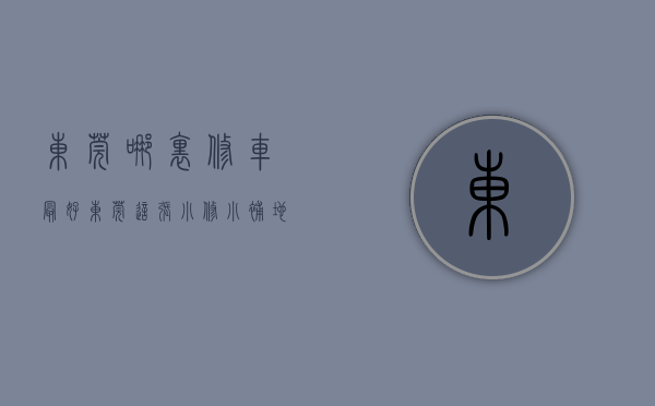 东莞哪里修车最好（东莞这张“小修小补”地图火了！）(东莞修车厂)
