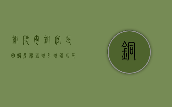 铜陵市铜官区：回购产权 举办公办园 小区配套幼儿园治理结硕果