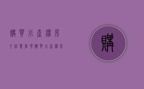 购买小产权房子注意事项（购买小产权房要注意哪些事项？南房叔为您解读）