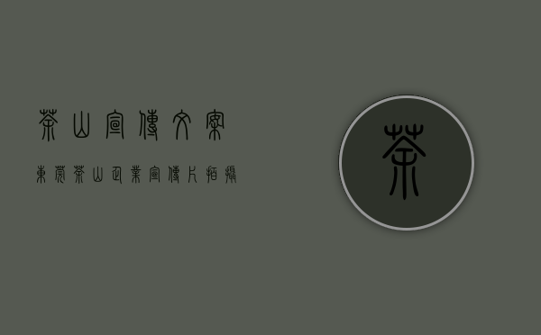 茶山宣传文案（东莞茶山企业宣传片拍摄，茶山宣传片拍摄，茶山短视频拍摄）