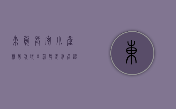 东莞长安小产权房现状(东莞长安小产权房现状分析)