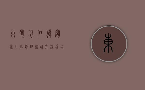 东莞市石龙实验小学地址（校企交流、现场招聘、劳务协作……东莞石龙“亮出”实招助力韶关共发展）