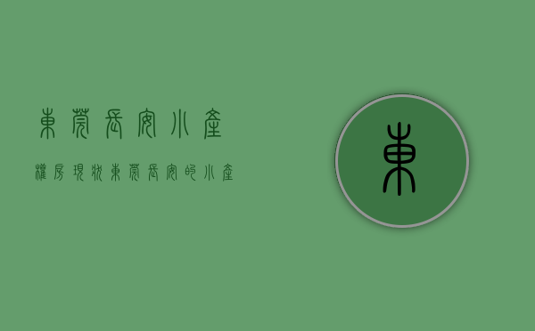 东莞长安小产权房现状（东莞长安的小产权房未来有多大的升值空间？）