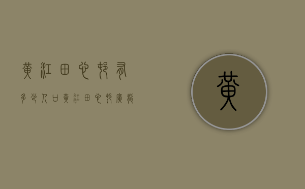 黄江田心村有多少人口（黄江田心村广龙路北居住更新单元，打造近50万㎡商住综合体）