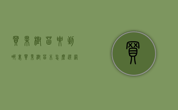 买果树苗要到哪里买（果树苗木怎么选？网上买容易被骗，分地域购买，认清发货地址）