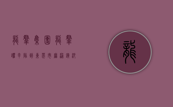 龙群集团（龙群跃率队到东莞市麻涌镇、沙田镇、中堂镇开展招商考察）(龙群度假村地址)