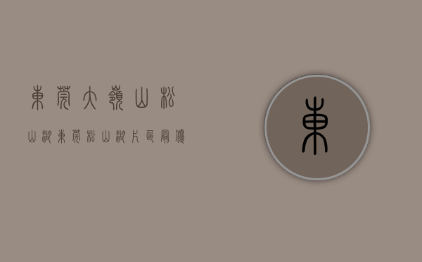 东莞大岭山松山湖（东莞松山湖片区最优质楼盘小产权房【大岭国际】大朗黎贝岭6栋花园小产权房统建楼，首付3成，可分期10年！）