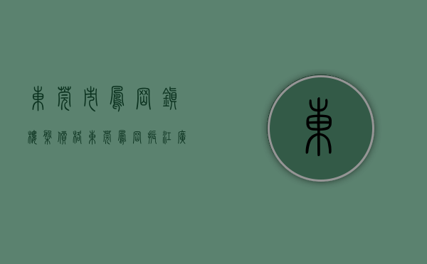 东莞市凤岗镇楼盘价格（东莞凤岗振江广场旁小产权凤岗国际公馆四栋大型统建楼总价138万）