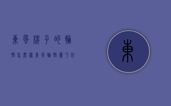 东风牌子的轮胎怎么样（东风轮胎属于什么档次？东风轮胎能买吗）(东风轮胎是什么档次,质量怎么样)