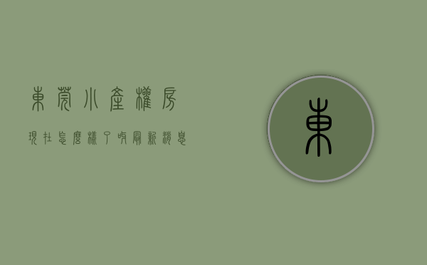 东莞小产权房现在怎么样了呀最新消息（东莞小产权房有哪些新的规定）