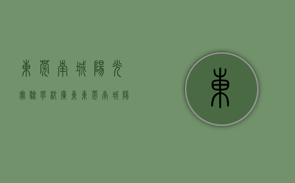 东莞南城阳光实验学校（广东东莞南城阳光中心小学“阳光梦想号”列车启航）
