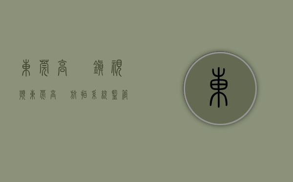 东莞高埗镇视频（东莞高埗：航拍系统监管 打击小区违建施工）