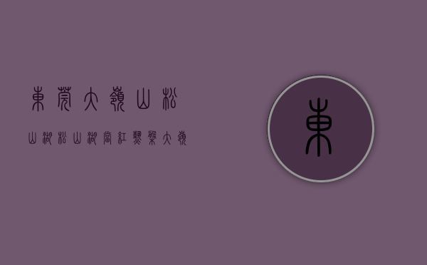 东莞大岭山松山湖（松山湖当红热盘大岭山广场附近三栋花园小产权房特价4800元，）