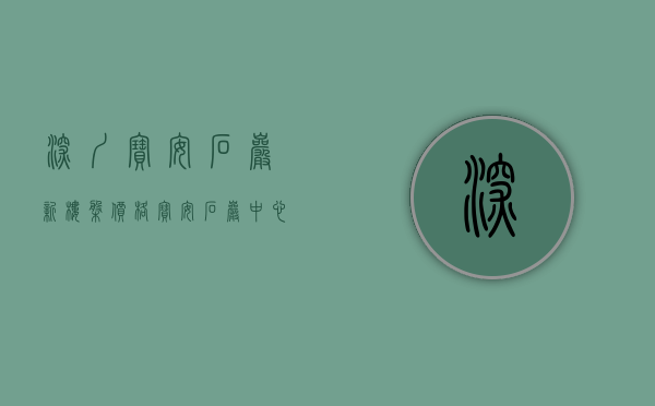 深圳宝安石岩新楼盘价格（宝安石岩中心区【星源上庭】最新小产权房开盘了 精装大三房668万套起）