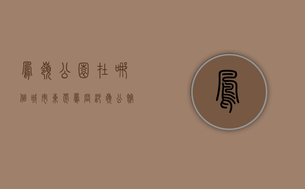 凤岭公园在哪个城市（东莞凤岗《沙岭公馆》小产权房 南北通透双阳台单价6000元）
