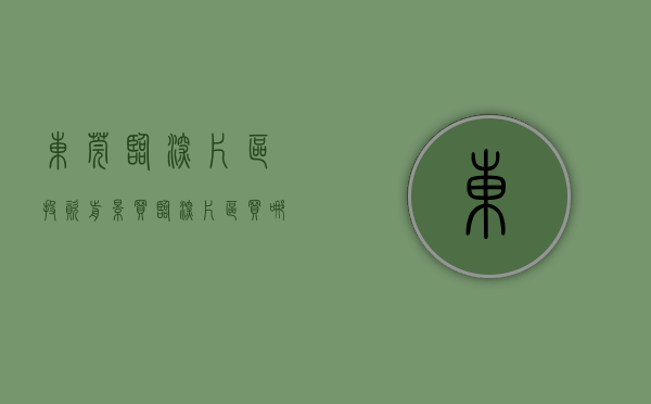 东莞临深片区投资前景（买临深片区，买哪里好？长安，黄江，塘厦，凤岗各有优势）