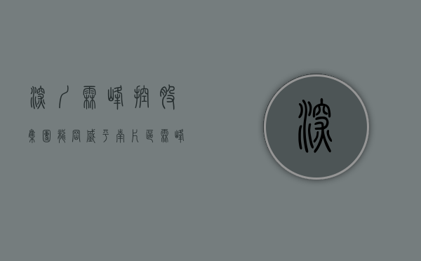 深圳霖峰控股集团（龙岗盛平南片区霖峰置业旧改项目，现在有货）(深圳市霖峰控股有限公司)