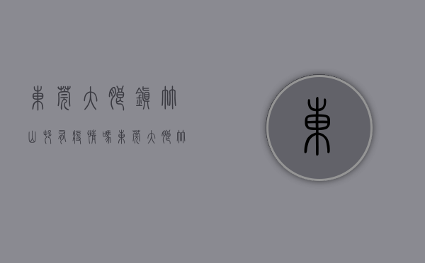 东莞大朗镇竹山村有疫情吗（东莞大朗竹山小产权房（天润海棠湾）真正的1：1车位，马路边第一排，2栋电梯洋房）