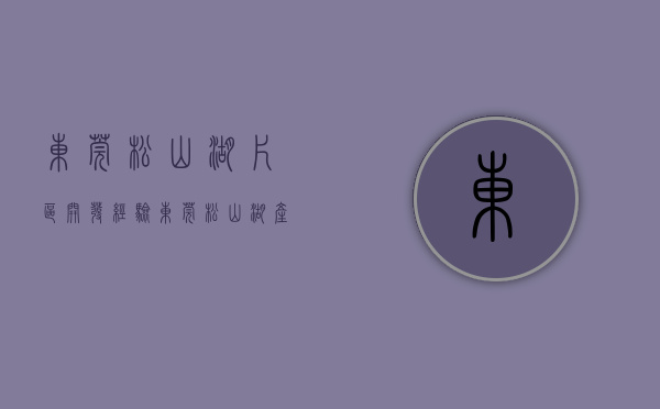 东莞松山湖片区开发经验（东莞松山湖产业用房产权分割难，多家企业“买楼”办公却是长租性质）