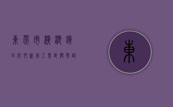 东莞市横沥镇田坑村新城工业区兴华路19号（华堂实业中选东莞横沥镇田坑村利源产城融合城更项目前期服务商）