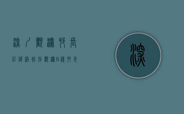 深圳观澜村长庄伟洪判刑（观澜8栋村委房，实地踩盘，带你看最真实的村委房）