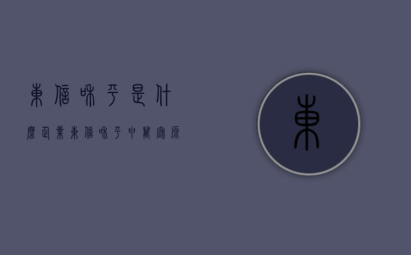 东信和平是什么企业（东信和平：申万宏源证券有限公司、深圳高铂投资有限公司等多家机构于3月15日调研我司）