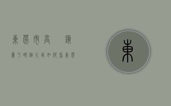 东莞市高埗镇属于哪个片区（如何看东莞高埗房地产发展？）(2021年东莞高埗镇发展状况)