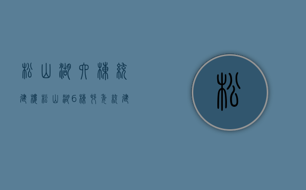 松山湖六栋统建楼（松山湖6栋村委统建楼小产权房（松湖明珠）怎么样？发绿本吗？）