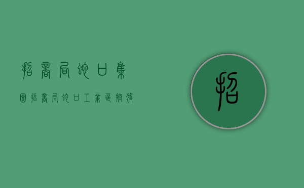 招商局蛇口集团（招商局蛇口工业区控股股份有限公司关于发行股份购买资产并募集配套资金暨关联交易申请获得深圳证券交易所受理的公告）
